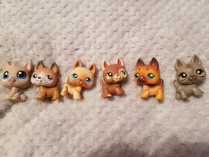 preloved german shepherd